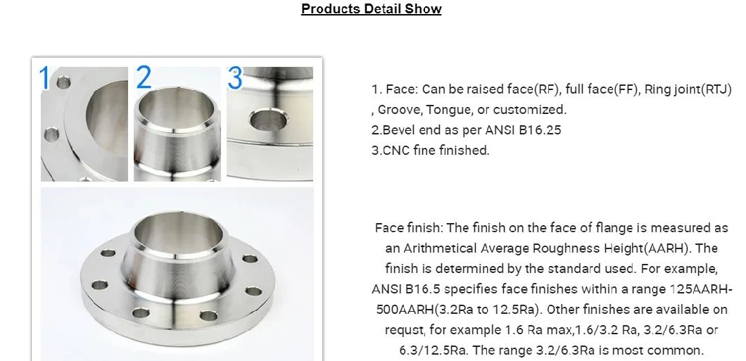 Forged Stainless Steel RF FF So/Thread/Welding Neck/Blind/Lap Joint Flange According to ANSI DIN En1092-1 GOST